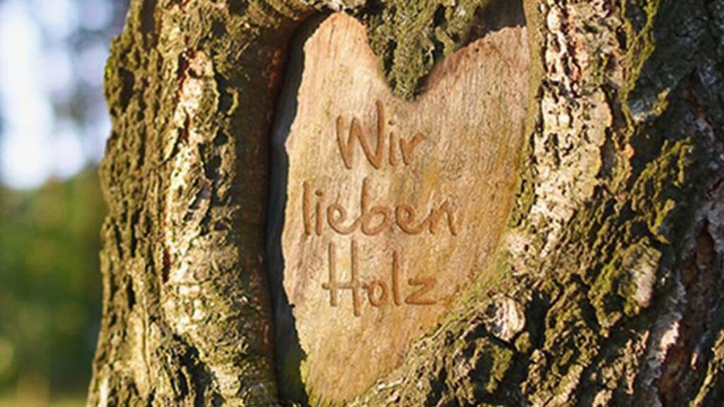 Referenz CAS genesisWorld HolzLand GmbH